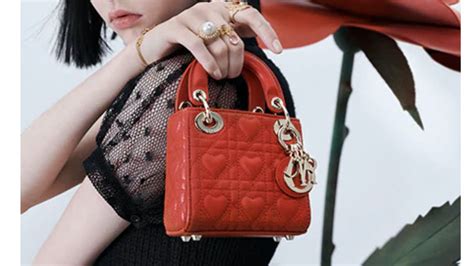 birkin dior